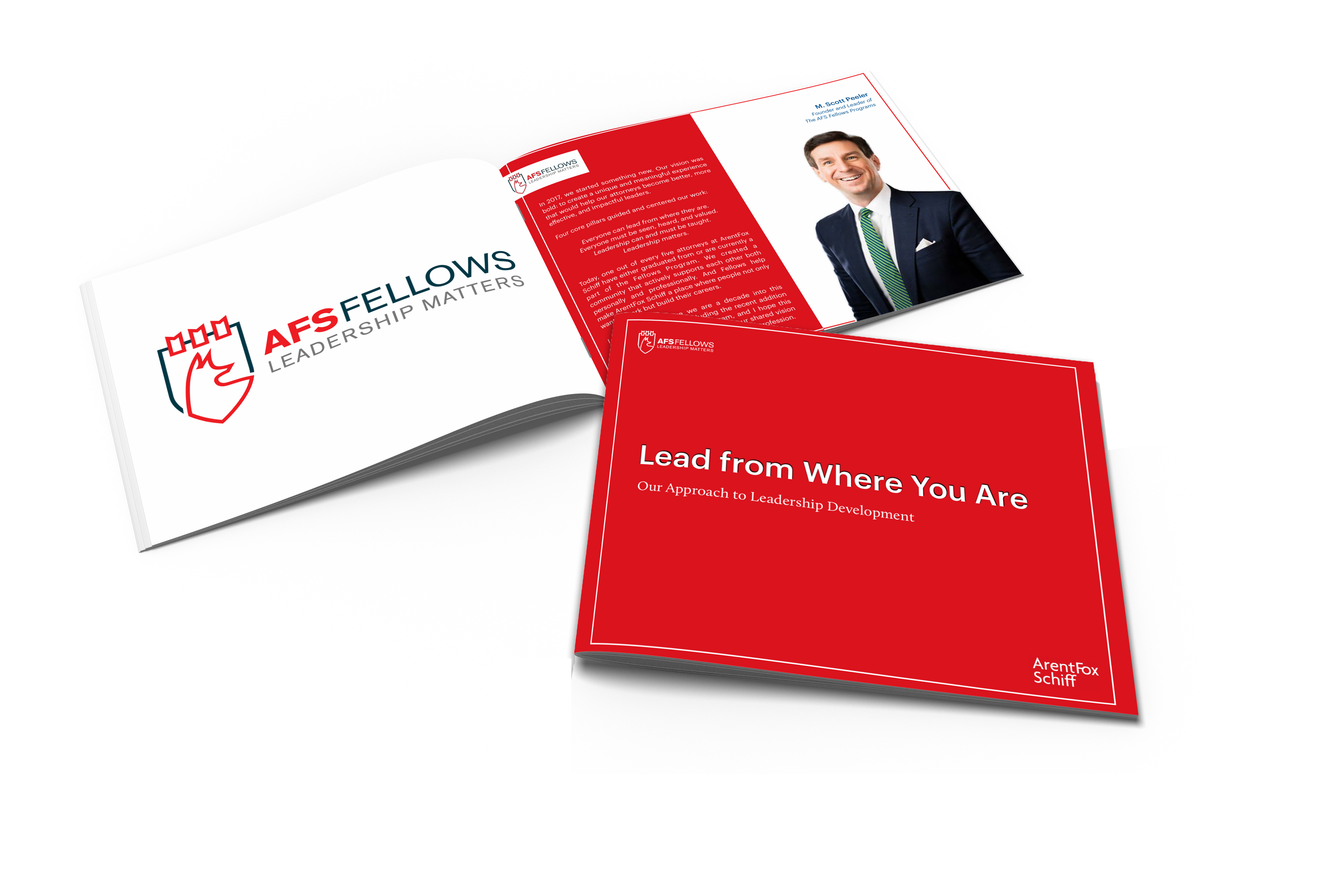 AFS Fellows Download the Report