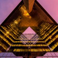 Venture Capital & Emerging Businesses Industry Image